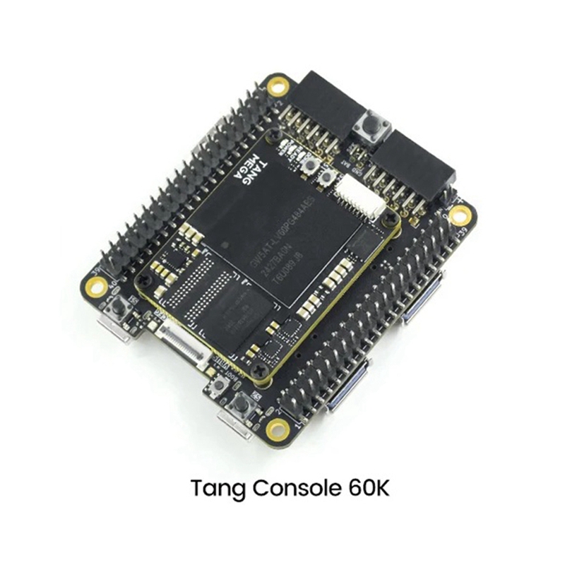 For Tang Console 60K Mini FPGA - огляд і ціна Perfboard